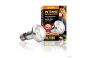Lämpölamput & -polttimot - EXO TERRA Intense Basking Spot 50W - HPT2135