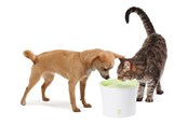Kissat - Catit Design White/Lime Drinking fountain 3L - H55600