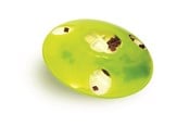 Kissat - Catit Play Treat "SPINNER" - H43750