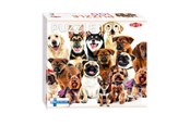 Palapelit - Tactic  Group of Cute Dogs 1 palan palapeli Lattia - 59233