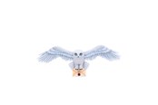 Fanituotteet - Harry Potter - Hedwig Wall Plaque - B6054W2