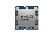 CPU - AMD EPYC 4124P - Tray CPU - 4 ydintä - 3.8 GHz - AMD AM5 - Bulk (Ilman jäähdytintä) - 100-000001570