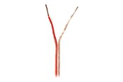 Audiokaapelit - Nedis bulk speaker cable - 100 m - CABR1500TR1000