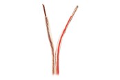 Audiokaapelit - Nedis bulk speaker cable - 25 m - CABR4000TR250