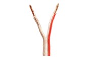 Audiokaapelit - Nedis bulk speaker cable - 15 m - CAGW4000TR150