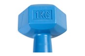 Urheilu & Fitness - ASG Handweight 1 kg vinyl - ASG4301IONE SIZE