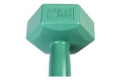 Urheilu & Fitness - ASG Handweight 2 kg vinyl - ASG4302IONE SIZE