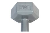 Urheilu & Fitness - ASG Handweight 3 kg vinyl - ASG4303IONE SIZE