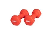 Urheilu & Fitness - ASG Handweight Set 2 kg Neoprene - ASG4170IONE SIZE
