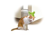 Kissat - AFP All For Paws - Groomer Corner 14*12*9Cm - (781.1020) - 781.1020