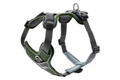 Koirat - Hunter - Harness Divo L green/grey - (67593) - 67593