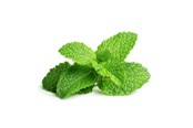 Smart Home - Älykoti - Click & Grow Click and Grow - Smart Garden Refill 3-pack - Peppermint (SGR22X3) - SGR22X3