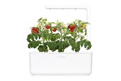 Sisustus - Click & Grow - Smart Garden 3 Start kit (Color: White) (SGS1UNI) - SGS1UNI