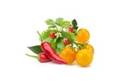 Smart Home - Älykoti - Click & Grow Click and Grow - Smart Garden Refill 9-pack Fruit and Veggie Mix - PPMFVX9
