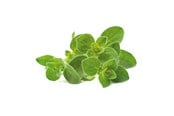 Smart Home - Älykoti - Click & Grow Click and Grow - Smart Garden Refill 3-pack Oregano - SGR31X3