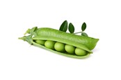 Smart Home - Älykoti - Click & Grow - Smart Garden Refill 3-pack Dwarf Pea - SGR54X3