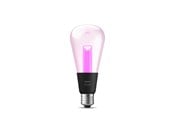 Smart Home - Älykoti - Philips Hue Lightguide E27 Edison Bulb - 1-Pack *DEMO* - 929003151501