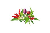 Smart Home - Älykoti - Click & Grow Click and Grow - Smart Garden Refill 9-pack Chili Pepper Mix - PPMCPX9
