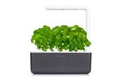 Sisustus - Click & Grow - Smart Garden 3 Startkit - dark grey (SGS8UNI) - SGS8UNI