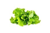 Smart Home - Älykoti - Click & Grow Click and Grow - Smart Garden Refill 3-pack - Green Lettuce (SGR32X3) - SGR32X3