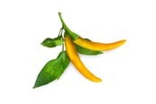 Smart Home - Älykoti - Click & Grow - Smart Garden Refill 3-pack Yellow Chili Pepper - SGR60X3