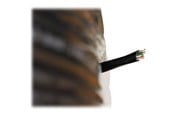 Verkkokaapelit - DIGITUS Professional bulk cable - 305 m - black - Musta - 305m - DK-TP512