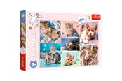 Palapelit - Trefl Puzzle - In the cat world (100 pieces) Lattia - TFL16420