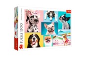 Palapelit - Trefl Puzzle - Puzzles Cute dogs (1500 pieces) Lattia - TFL26186