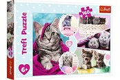 Palapelit - Trefl Puzzle - Lovely kittens (160 pieces) Lattia - TFL15371