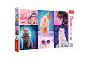 Palapelit - Trefl Puzzle - Super cats (1000 pieces) Lattia - TFL10581