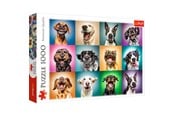 Palapelit - Trefl Puzzle - Funny dog portraits (1000 pieces) 2D Palapelit - TFL10462