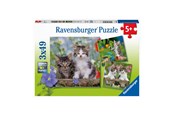 Palapelit - Ravensburger Jigsaw puzzle Young Kittens 3x49pcs. Lattia - 080465