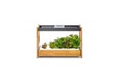 Smart Home - Älykoti - Click & Grow Click and Grow 25 - Black (Salad Greens 54x pack) - CG25BMAINSG