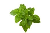 Smart Home - Älykoti - Click & Grow Click and Grow Smart Garden Refill 3-pack - Dwarf Basil - SGR21X3