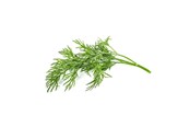 Smart Home - Älykoti - Click & Grow Click and Grow Smart Garden Refill 3-pack - Dill - SGR49X3