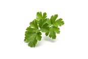 Smart Home - Älykoti - Click & Grow Click and Grow Smart Garden Refill 3-pack - Plain Parsley - SGR68X3