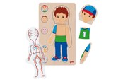 Palapelit - Goki Wooden Layer Puzzle Human Body Boy 29 pcs. - 57361