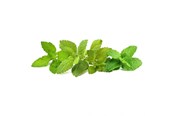 Smart Home - Älykoti - Click & Grow Click and Grow Smart Garden Refill 9-pack Calming - PPMCTX9