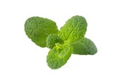 Smart Home - Älykoti - Click & Grow Click and Grow Smart Garden Refill 3-pack - Apple Mint - SGR79X3