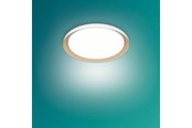 Valaisimet - Philips Pebblo UE Ceiling SS W 10W 40K - 929004116701