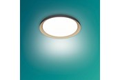 Valaisimet - Philips Pebblo UE Ceiling SS B 10W 27K - 929004116801