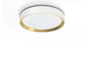 Valaisimet - Philips Hanno ceiling SS RD 24W 27K W_G - 929004116001