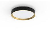 Valaisimet - Philips Hanno ceiling SS RD 24W 27K B_G - 929004115801