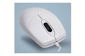 Hiiret - Cherry Active Key AK-PMJ1 - mouse - USB 2.0 - white - Hiiri - Optinen - 2 painiketta - Valkoinen - AK-PMJ1OW-UV-W