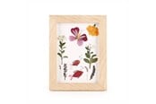 Sisustus - Kikkerland - HUCKLEBERRY PRESSED FLOWER FRAME (HB02-F) - HB02-F