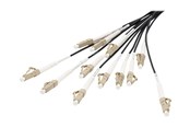 Verkkokaapelit - DIGITUS breakout cable - 30 m - black - Musta - 30m - DK-2433CU030BK-BBB