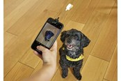 Puhelin - Muut lisävarusteet - Kikkerland - Dog Treat Selfie Clip (DIG01) - DIG01