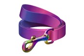 Koirat - Waudog gradient nylon dog leash 20mm wide 122cm - 46619