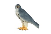 Hahmot - Mojo - Wildlife Peregrine Falcon - 381056