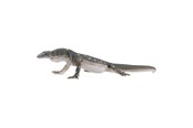Hahmot - Mojo - Wildlife Perentie Lizard - 381061 - 381061